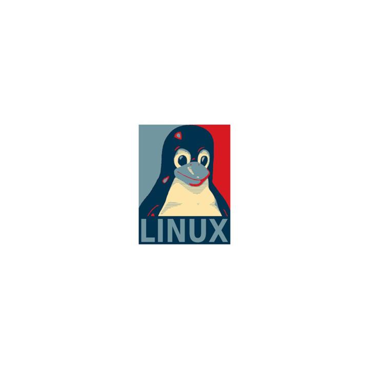 استیکر لپ تاپ لولو طرح LINUX برنامه نویسی کد 679